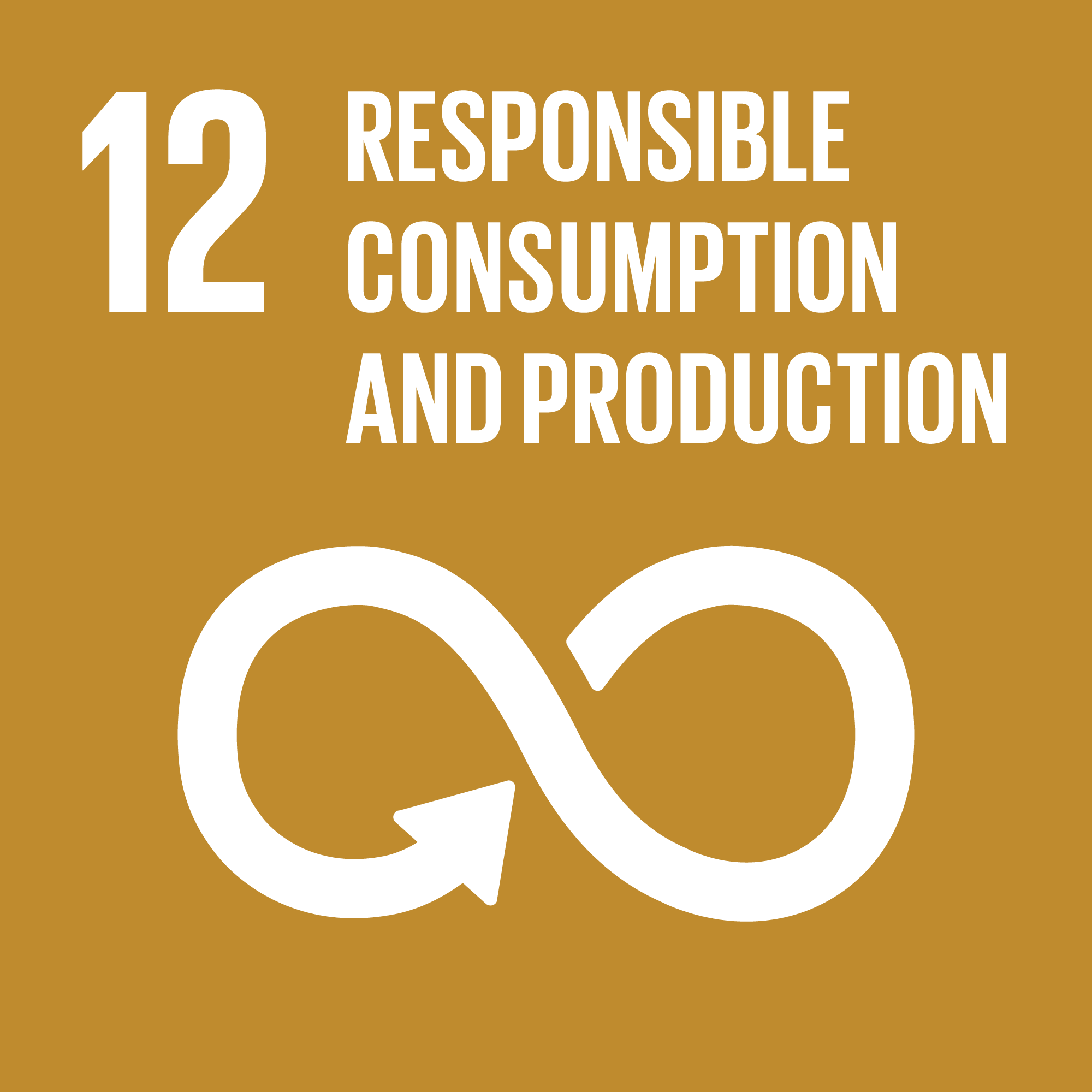 SDG Goal 12 — Consumo e produzione responsabili