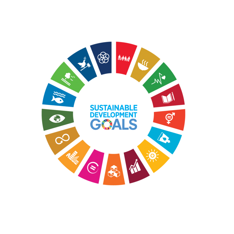 Ruota degli Obiettivi di Sviluppo Sostenibile dell'Agenda 2030